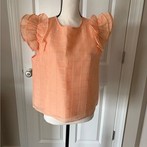 Elegant Peach Ruffle Sleeve Top